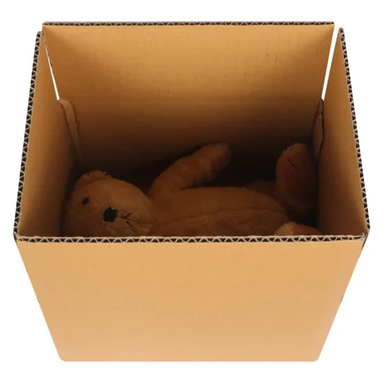 13 X 9 X 6 Inch Slotted Universal Corrugated Box | 380 GSM | 3-Ply | Eco-Friendly | 100% Recyclable